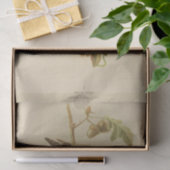  illustratie van Woodchat Shrike Tissuepapier (Geschenk)