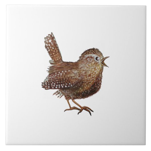 Illustratie van Wren Bird (Troglodytes Troglodytes Tegeltje (Voorkant)
