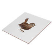Illustratie van Wren Bird (Troglodytes Troglodytes Tegeltje (Zijkant)