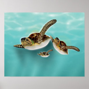 Illustratie van zeeschildpadden poster