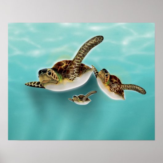 Illustratie van zeeschildpadden poster (Voorkant)
