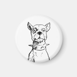 Illustratie van zittende hond uit 1919 magneet