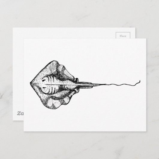  illustratie van zwart-wit en wit beeld briefkaart (Voorkant / Achterkant)