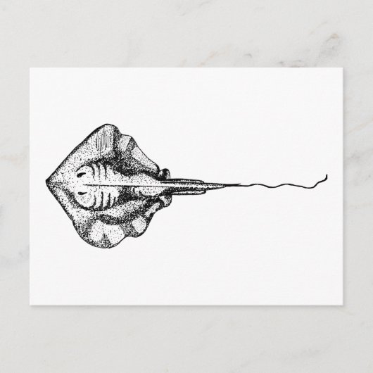 illustratie van zwart-wit en wit beeld briefkaart (Voorkant)