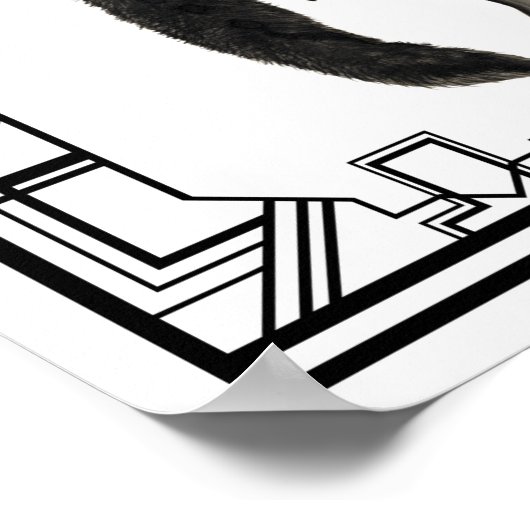  illustratie van zwart-witflatpanel poster (Hoek)