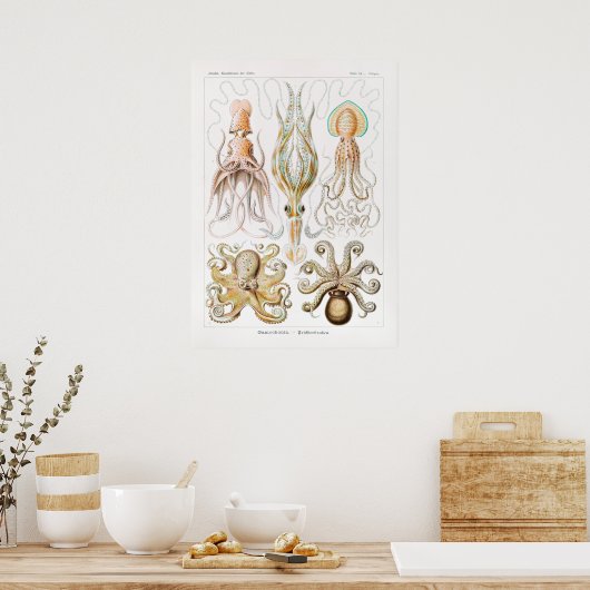 Illustratie  vierkant/octopus poster (Keuken)