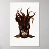 Illustratie vierkant/octopus poster (Voorkant)