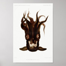 Illustratie  vierkant/octopus poster