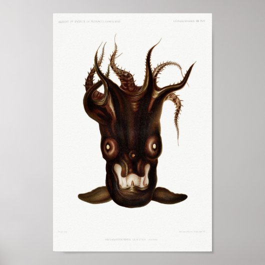 Illustratie  vierkant/octopus poster (Voorkant)