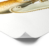 Illustratie  vierkant/octopus poster (Hoek)