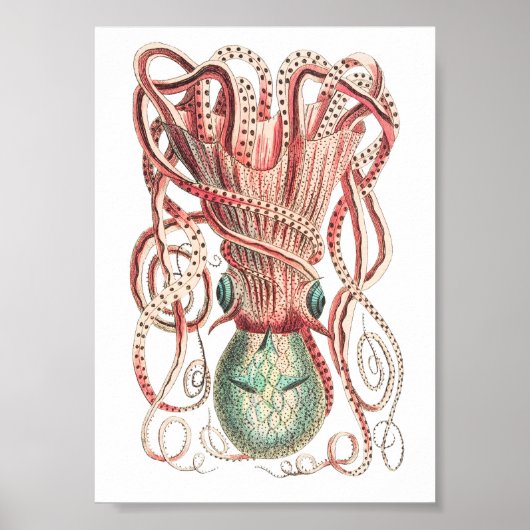 Illustratie  vierkant/octopus poster (Voorkant)