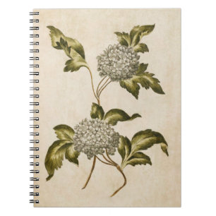 Illustratie Vintage flessenbedekking Roos Notitieboek