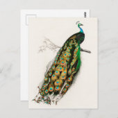 Illustratie Vintage kunst afdrukken Briefkaart (Voorkant / Achterkant)