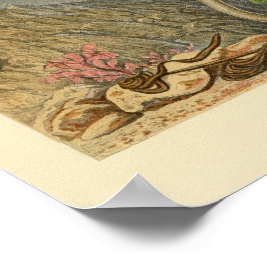 Illustratie Vintage Marine Life Tube Print (Hoek)