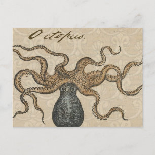 Illustratie Vintage Octopus Kraken Briefkaart