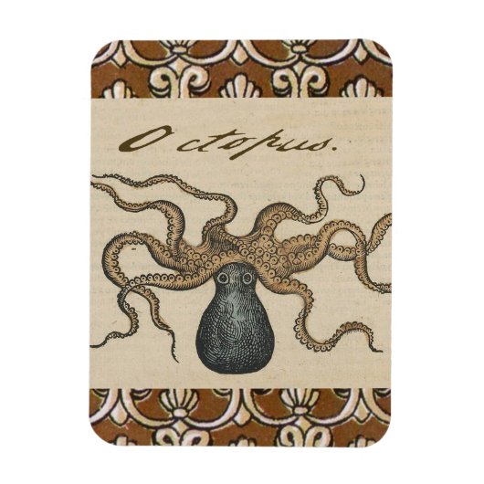 Illustratie Vintage Octopus Kraken Magneet (Verticaal)