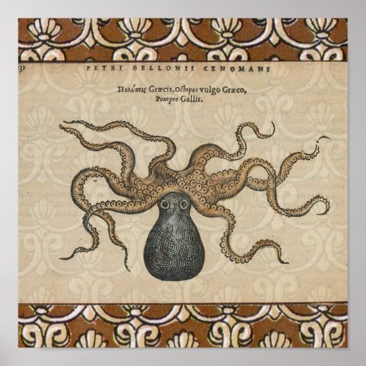 Illustratie Vintage Octopus Kraken Poster (Voorkant)