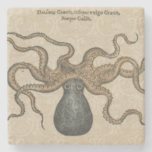 Illustratie Vintage Octopus Kraken Stenen Onderzetter