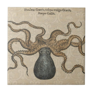 Illustratie Vintage Octopus Kraken Tegeltje