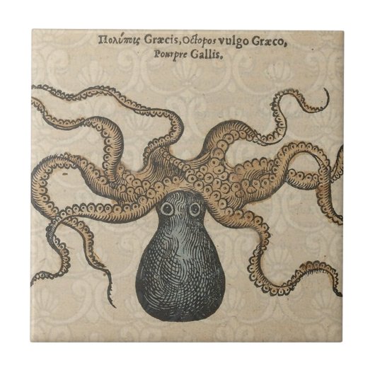 Illustratie Vintage Octopus Kraken Tegeltje (Voorkant)