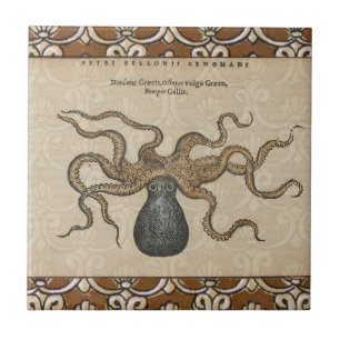 Illustratie Vintage Octopus Kraken Tegeltje