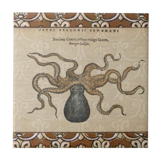Illustratie Vintage Octopus Kraken Tegeltje (Voorkant)