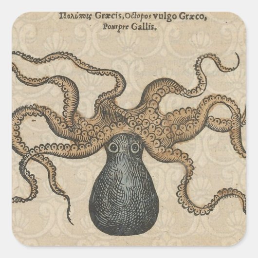 Illustratie Vintage Octopus Kraken Vierkante Sticker (Voorkant)