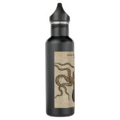 Illustratie Vintage Octopus Kraken Waterfles (Links)