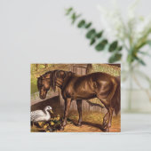 Illustratie Vintage paarden en schildpadden Briefkaart (Staand voorkant)