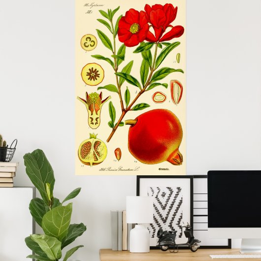 Illustratie Vintage Pomegranate Month Poster (Thuiskantoor)