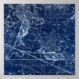 Illustratie Vintage van pisces Zodiac Sign Poster