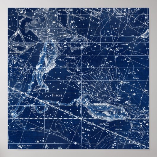 Illustratie Vintage van pisces Zodiac Sign Poster (Voorkant)