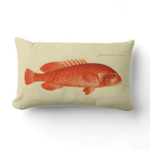  illustratie Vis de Coney