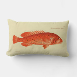  illustratie Vis de Coney Kussen