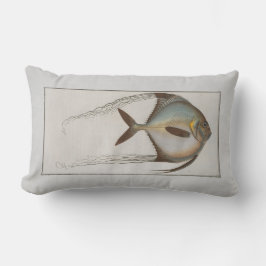  Illustratie Vis Zeus Ciliaris Kussen