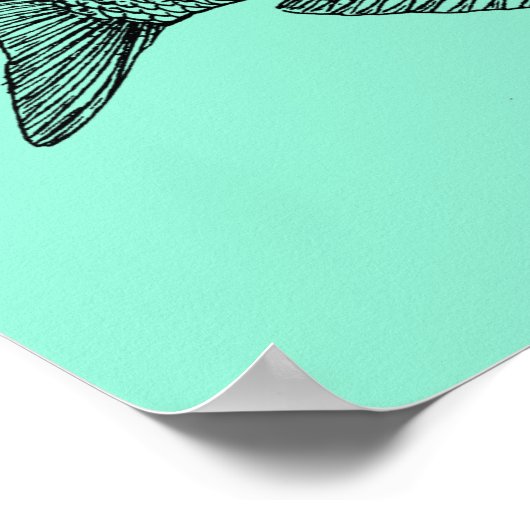  illustratie viswetenschap poster (Hoek)