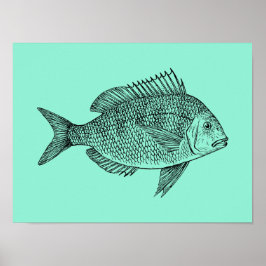 illustratie viswetenschap poster