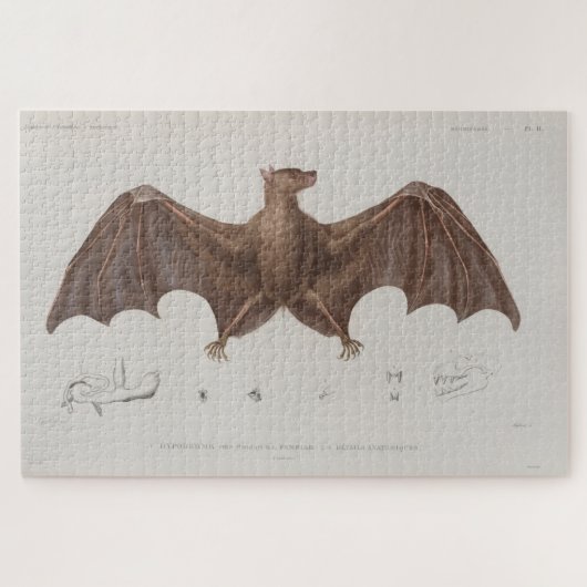 Illustratie  vlek (1835) legpuzzel (Horizontaal)