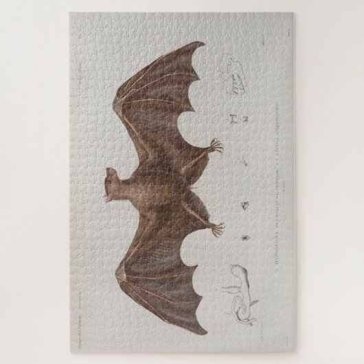 Illustratie  vlek (1835) legpuzzel (Verticaal)