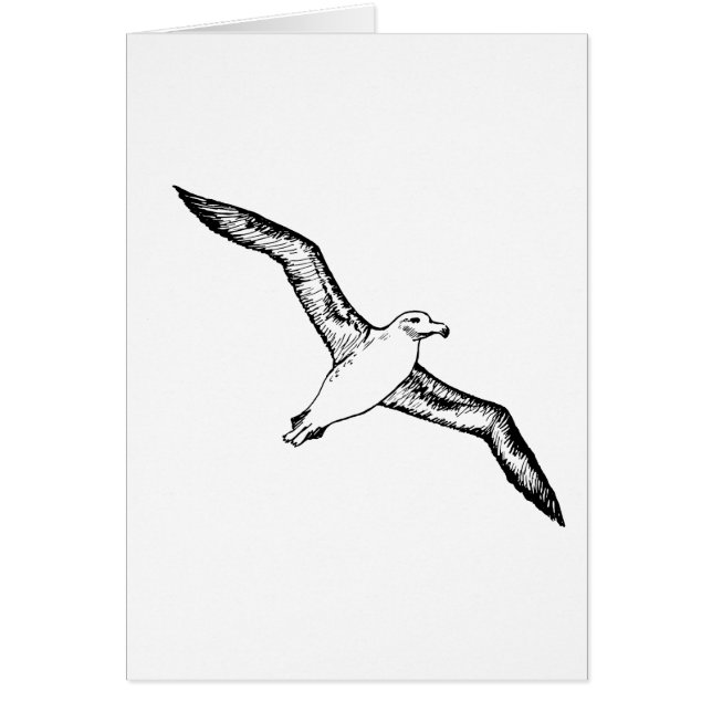 Illustratie vliegende Albatross (Voorkant)