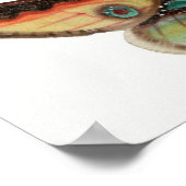 Illustratie vlinder poster (Hoek)