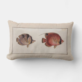  Illustratie Vlindervis Kussen