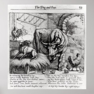 Illustratie voor 'De hond en de os' Poster