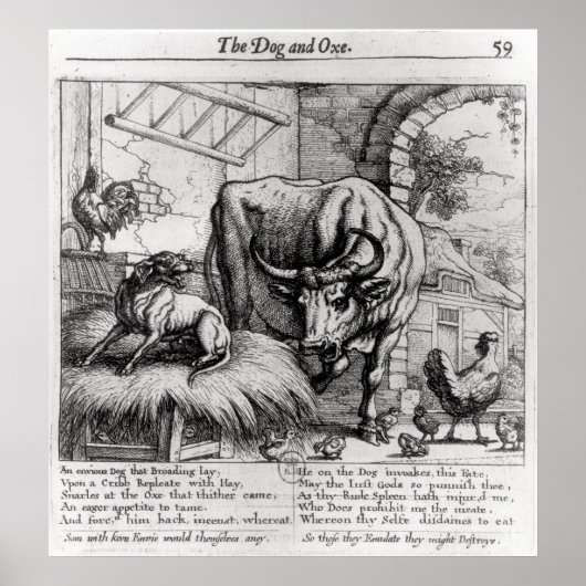 Illustratie voor 'De hond en de os' Poster (Voorkant)