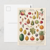 Illustratie vruchten briefkaart (Voorkant / Achterkant)