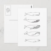 Illustratie walvissen (lijnkunst) briefkaart (Voorkant / Achterkant)
