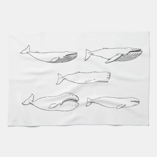 Illustratie walvissen (lijnkunst) theedoek (Horizontaal)