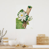  illustratie WaterLily Poster (Keuken)