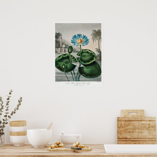  illustratie WaterLily Poster (Keuken)