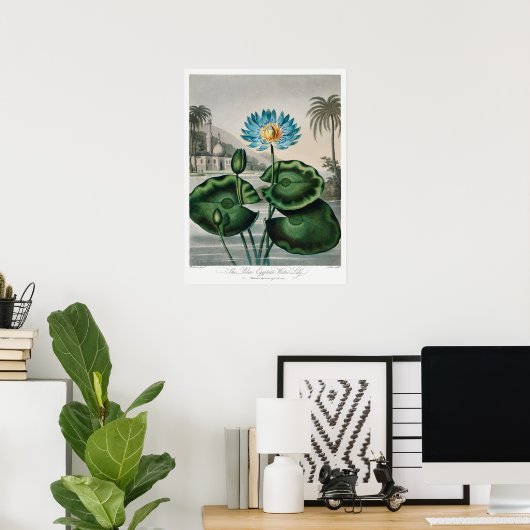illustratie WaterLily Poster (Thuiskantoor)